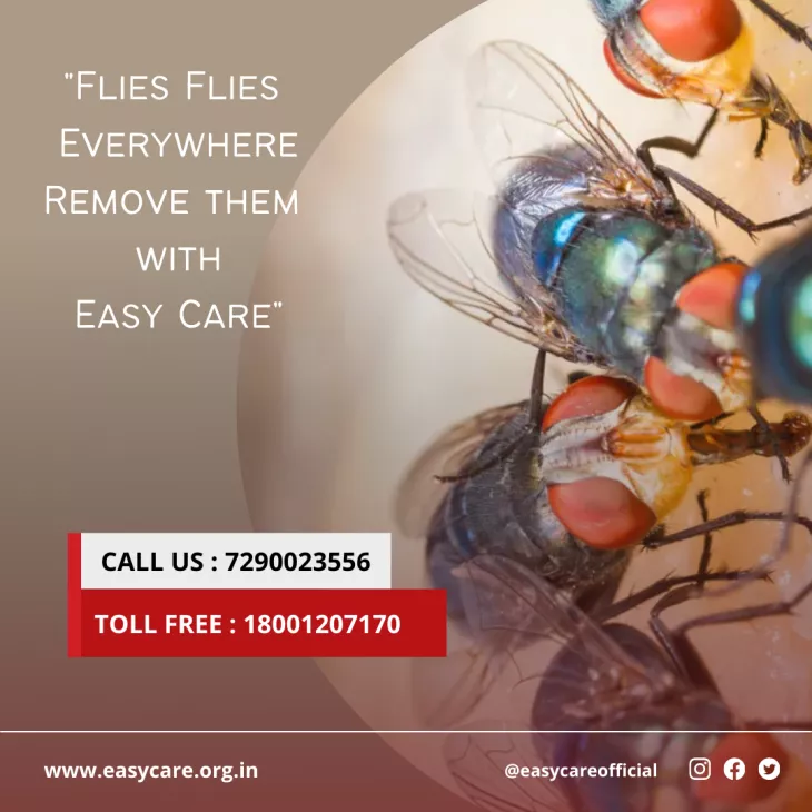 FLY CONTROL SERVICES