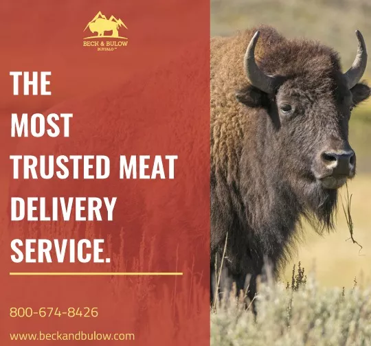 Online Meat Delivery & Butchers
