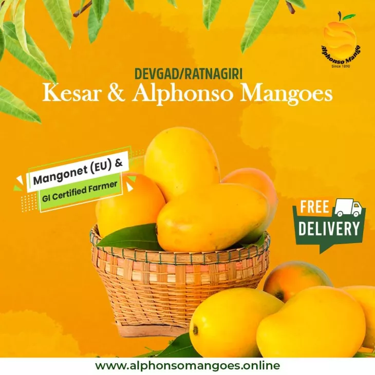 fresh alphonso mango online shopping