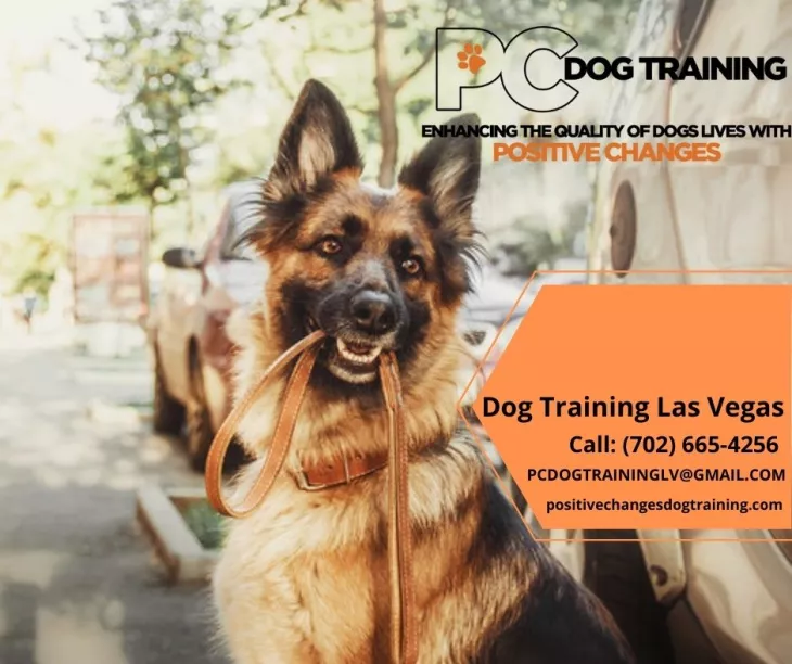 Dog Training Las Vegas