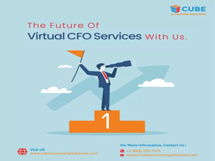 Our Virtual CFO services are remote CFO services providing support to your future business operations.