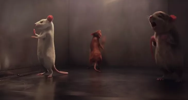 children who were turned into mice
