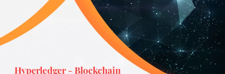 Blockchain Development Hyperledger Platforms