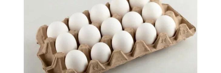 How To Tell If Eggs Are Bad