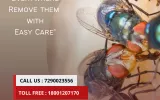 FLY CONTROL SERVICES