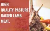 Purchase Pasture Raised New Zealand Lamb Meat Online