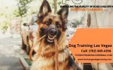 Dog Training Las Vegas