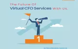 Our Virtual CFO services are remote CFO services providing support to your future business operations.