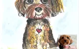 Doodle Doggies Portrait