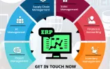 ERP Development Company