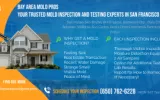 Santa Clara Mold Inspection & Testing Services